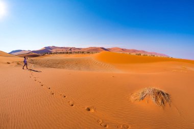 Sossusvlei, Namib Çölü, Namib Naukluft Milli Parkı, Namibya, kum tepeleri üzerinde yürüyen turist. Afrika'da kişi, macera ve tatil seyahat.