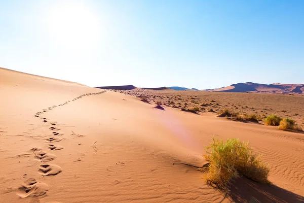 Footprints on Sossusvlei Sand Dunes, Namib Naukluft National Park, Namib desert, scenic travel destination in Namibia, Africa. — Stock Photo, Image