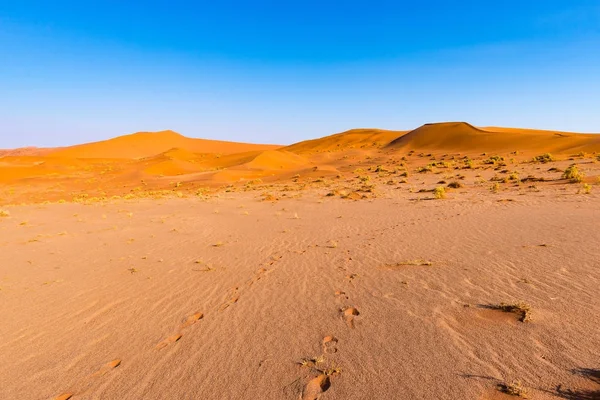 Footprints on Sossusvlei Sand Dunes, Namib Naukluft National Park, Namib desert, scenic travel destination in Namibia, Africa. — Stockfoto