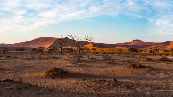 Panorama na barevné písečné duny a malebnou krajinu v Sossusvlei v turistické destinaci pouště Namib, národní Park Namib Naukluft v Namibii. Cestovní zážitky v Africe. — Stock video