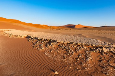 Sossusvlei Namibya Afrika seyahat hedef. Kum tepeleri ve akasya ağaçları, Namib Naukluft Milli Parkı, Namib Çölü ile kil tuz pan.