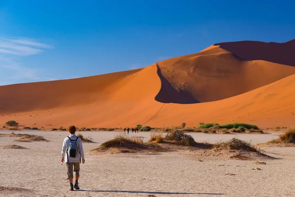 Tourist walking on the scenic dunes of Sossusvlei, Namib desert, Namib Naukluft National Park, Namibia. Adventure and exploration in Africa. — Stock Photo, Image