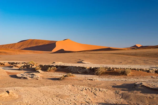 Sossusvlei Namibia, destino de viaje en África. Dunas de arena y sartén de sal de arcilla con acacias, Parque Nacional Namib Naukluft, desierto de Namib . — Foto de Stock