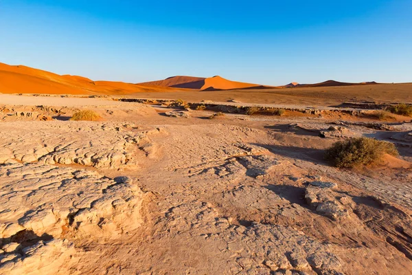 SOSSUSVLEI Namibië reis-bestemming in Afrika. Zandduinen en klei zout pan met acacia bomen, Namib Naukluft Nationaal Park Namib woestijn. — Stockfoto