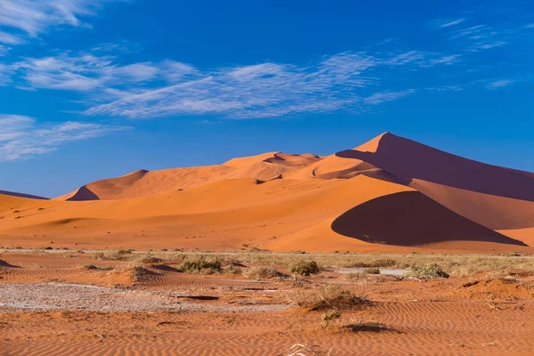 Sossusvlei Namibia, travel destination in Africa. Sand Dunes and clay salt pan with acacia trees, Namib Naukluft National Park, Namib desert. — Stock Photo, Image