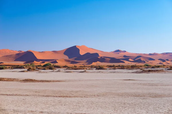 Sossusvlei Namibia, travel destination in Africa. Sand Dunes and clay salt pan with acacia trees, Namib Naukluft National Park, Namib desert. — Stock Photo, Image