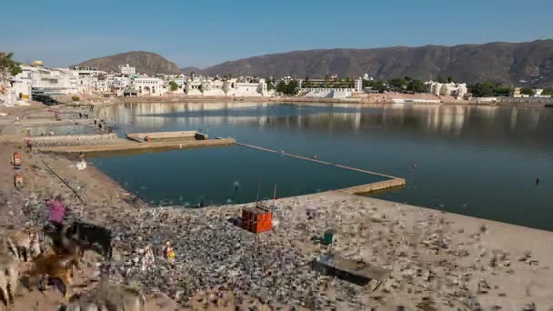 Časová prodleva na Svaté Ghát na vodě rybníka v Pushkar, Rádžasthán, Indie, svaté město pro hinduistické lidi. — Stock video