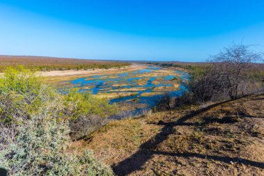 Olifants Nehri, doğal ve renkli yatay, yaban hayatı Kruger National Park, ünlü seyahat hedef Güney Afrika. Açık mavi gökyüzü.