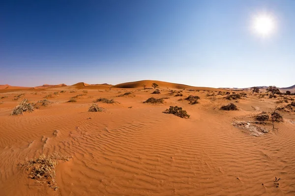 Dunes de sable dans le désert namibien à l'aube, road trip dans le magnifique parc national du Namib Naukluft, destination voyage en Namibie, Afrique . — Photo