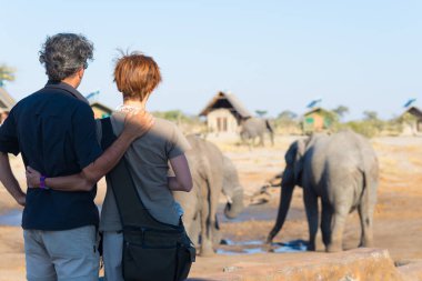 Sarılma çift su birikintisinin içme fil sürüsü bakmak. Afrika safari macera ve yabani hayvanlar ve bitkiler. İnsanlar seyahat kavramı.