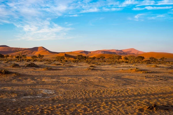 Sand dunes in the Namib desert at dawn, roadtrip in the wonderful Namib Naukluft National Park, travel destination in Namibia, Africa. — Stock Photo, Image