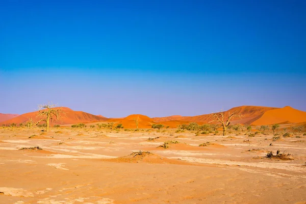 Sanddyner i Namib-ørkenen ved daggry, biltur i den fantastiske Namib Naukluft nasjonalpark, reisemål i Namibia, Afrika . – stockfoto