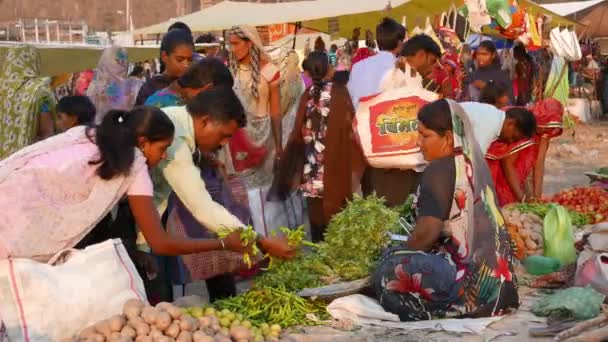 2017年12月2日 星期六市场在曼杜 中央邦 部落的人聚集在这里每周一次从 Bastar 地区的村庄 — 图库视频影像