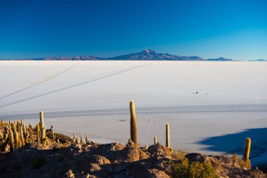 Uyuni tuz Flat adlı gündoğumu, seyahat hedef Bolivya ve Güney Amerika. Isla Incahuasi parlayan kaktüs ile zirvesine.