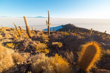 Uyuni tuz Flat adlı gündoğumu, seyahat hedef Bolivya ve Güney Amerika. Isla Incahuasi parlayan kaktüs ile zirvesine.