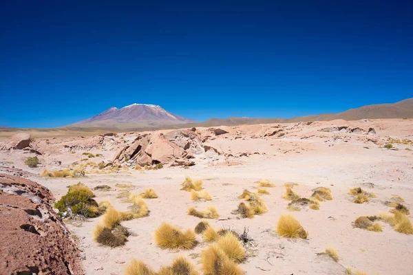 Felsige Wüste und dampfender Vulkan in der Ferne, im Hochland der Anden, eines der wichtigsten Reiseziele in Bolivien. klarer Himmel bei Tageslicht. — Stockfoto