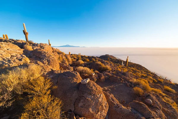Uyuni tuz Flat adlı gündoğumu, seyahat hedef Bolivya ve Güney Amerika. Isla Incahuasi parlayan kaktüs ile zirvesine. — Stok fotoğraf