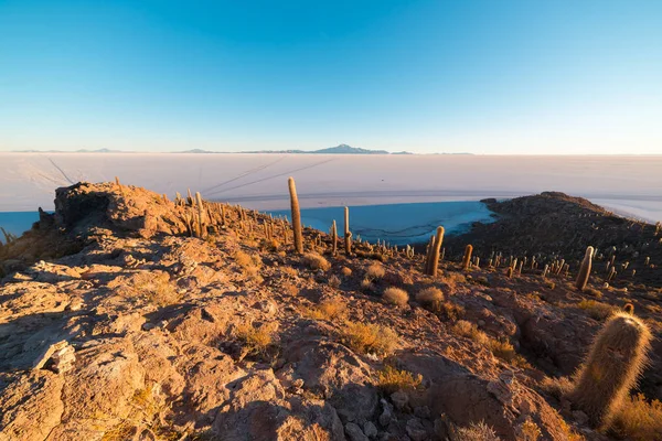 Uyuni Salt Flat al amanecer, destino de viaje en Bolivia y Sudamérica. Cumbre de la Isla Incahuasi con cactus brillantes . — Foto de Stock