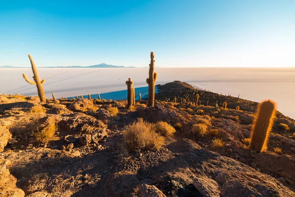 Uyuni tuz Flat adlı gündoğumu, seyahat hedef Bolivya ve Güney Amerika. Isla Incahuasi parlayan kaktüs ile zirvesine. — Stok fotoğraf