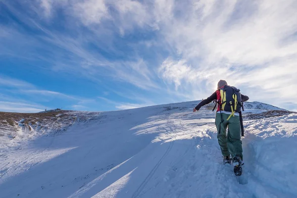 Zaino in spalla donna trekking sulla neve sulle Alpi. Vista posteriore, stile di vita invernale, sensazione di freddo, stella del sole nella retroilluminazione . — Foto Stock