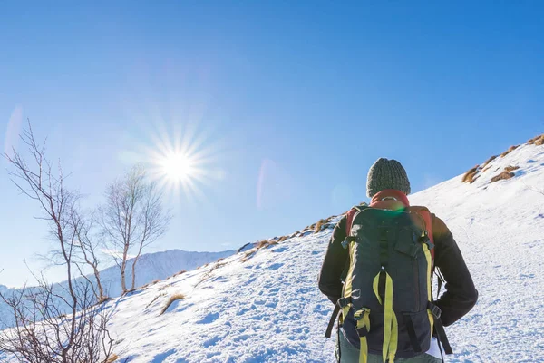 Vrouw backpacker trekking in de sneeuw op de Alpen. Achteraanzicht, winter levensstijl, koud gevoel, zon ster in tegenlicht. — Stockfoto