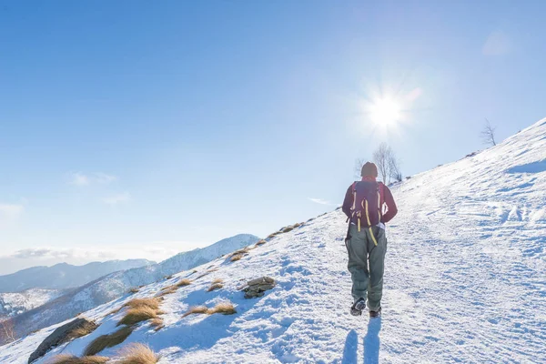 Жінка backpacker походи на снігу на Альпи. Задня подання, зима способу життя, холодний почуття, сонця зірка в підсвічування. — стокове фото
