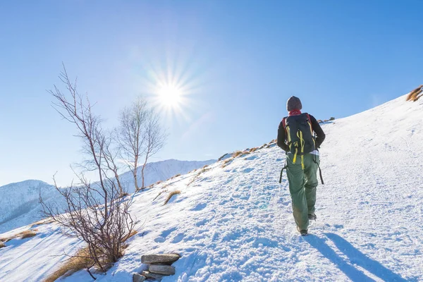 Mulher mochileiro trekking na neve nos Alpes. Visão traseira, estilo de vida de inverno, sensação de frio, estrela do sol na luz de fundo . — Fotografia de Stock