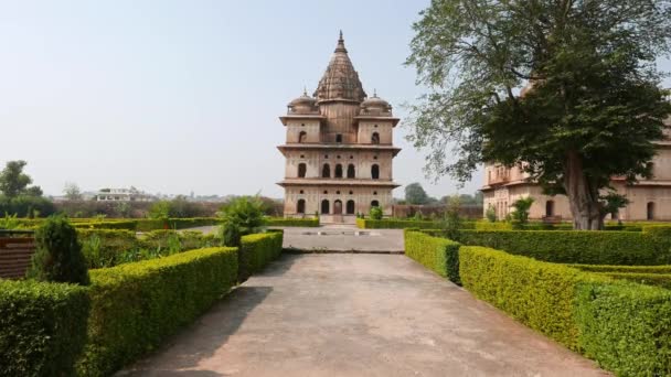 Kenotaphen Orchha Madhya Pradesh Berühmtes Reiseziel Indien — Stockvideo