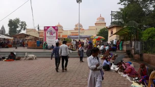 Orchha Indien November 2017 Menschen Drängen Sich Auf Der Straße — Stockvideo