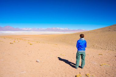 Tuzlu, çarpıcı manzaraya bakarak turist Andes, yolculuğa ünlü Uyuni tuz düz, gölde donmuş Bolivya'daki hedef, seyahat.
