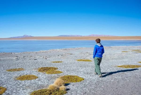 游客看着在安第斯山脉的咸冰冻湖泊令人惊叹的景观, 道路旅行著名的乌尤尼盐平坦, 旅游目的地在玻利维亚. — 图库照片