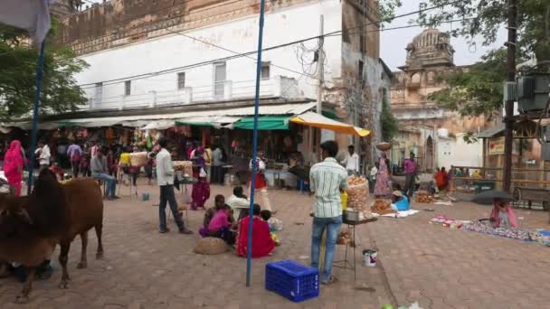 Orchha India Circa Novembre 2017 Persone Affollano Strada Orchha Madhya — Video Stock