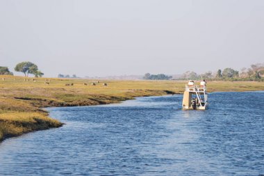 Tekne gezisi ve Chobe Nehri 'nde vahşi yaşam safarisi, Namibia Botswana sınırı, Afrika. Chobe Ulusal Parkı, ünlü yaban hayatı rezervi ve lüks seyahat merkezi..