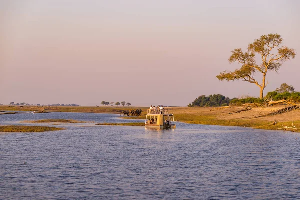Cruzeiro de barco e safári de vida selvagem no rio Chobe, na fronteira com a Namíbia Botsuana, África. Chobe National Park, famosa reserva de vida selvagem e destino de viagem de luxo. — Fotografia de Stock