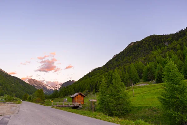 Verão nos Alpes. Prado alpino florescente e exuberante bosque verde situado em meio a alta altitude gama de montanhas . — Fotografia de Stock