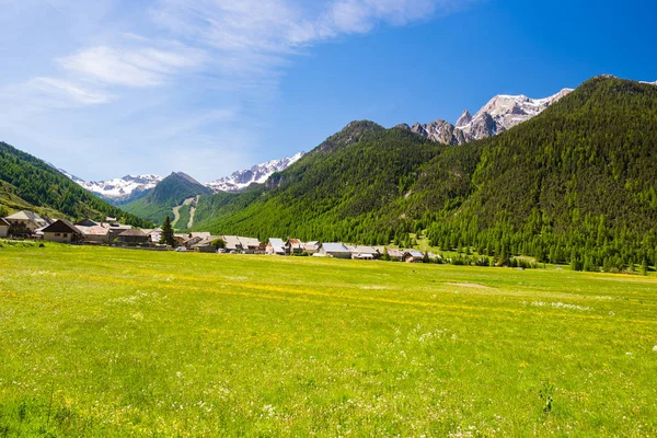 Verão nos Alpes, estância turística, aldeia de férias. Prado alpino florescente e exuberante bosque verde situado em meio a alta altitude gama de montanhas . — Fotografia de Stock