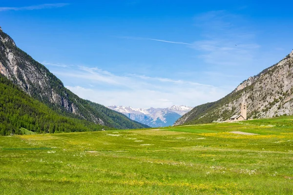 Summer in the Alps. Blooming alpine meadow and lush green woodland set amid high altitude mountain range. — Stock Photo, Image