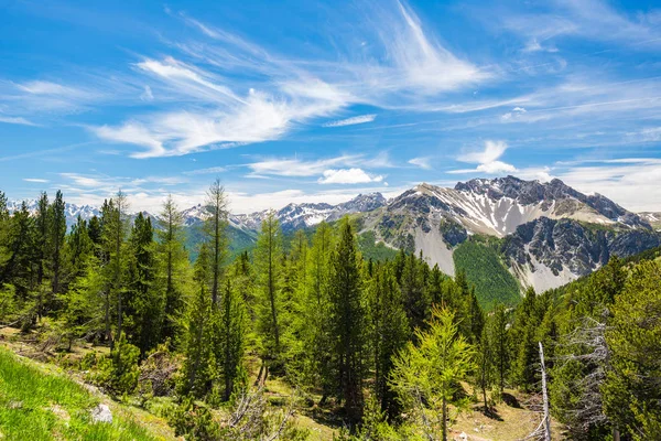 Höhenlandschaftsidylle in unberührter Umgebung. Sommerabenteuer und Entdeckungen auf den italienischen Alpen. Weite Sicht von oben, strahlend blauer Himmel. — Stockfoto
