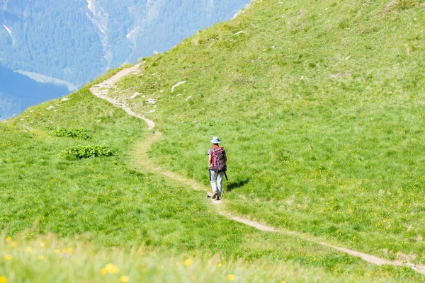 Mochilero caminando por senderos en la montaña. Aventuras de verano vacaciones de verano en los Alpes. Gente vagabunda viajando concepto . —  Fotos de Stock