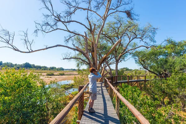 Dürbün ile Panorama adlı arıyorsunuz bakış açısı Olifants Nehri, doğal ve renkli yatay, yaban hayatı Kruger National Park, Güney Afrika ünlü seyahat hedef turizm. — Stok fotoğraf