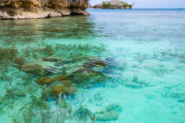 Recife de coral fechar-se na água transparente turquesa do mar tropical. Ambiente não contaminado nas ilhas Togianas ou ilhas Togeanas, Sulawesi, Indonésia . — Fotografia de Stock