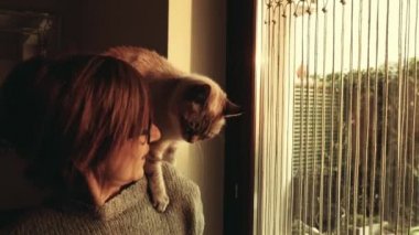 Ağır çekim: yerli kedi gülümseyen güzel kadın omuz üzerinde oynama. Kapalı ayarlama. 