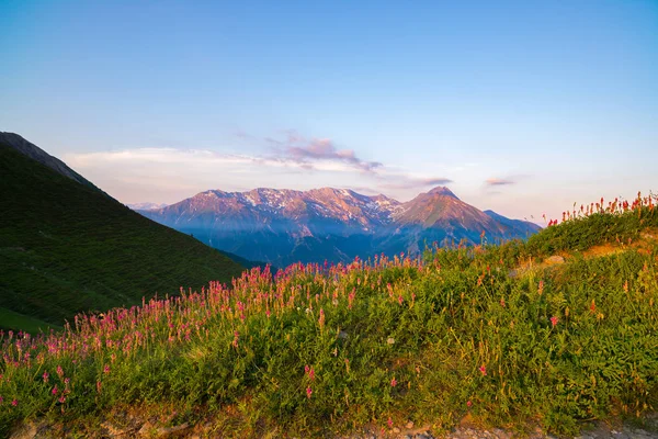 Picos rochosos da montanha, cumes e vales, os Alpes ao pôr-do-sol. Paisagem de terreno extremo em alta altitude, destino de viagem cênica na Itália . — Fotografia de Stock