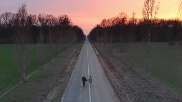 Antenne Paar Wandelen Bedrijf Handen Landweg Tussen Velden Bossen Kleurrijke — Stockvideo