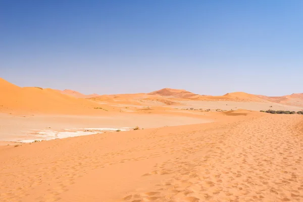 Sand dunes Namib desert, salt flat, roadtrip in the wonderful Namib Naukluft National Park, travel destination in Namibia, Africa. — Stock Photo, Image