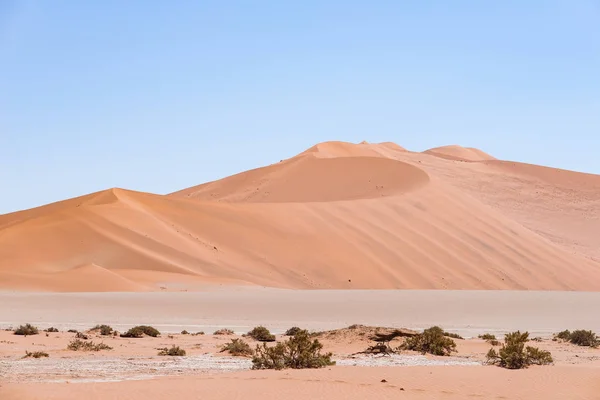 Sossusvlei Namibii, malownicze gliny soli płaska z oplotem akacji i majestatyczne wydmy. Park Narodowy Namib Naukluft, cel podróży w Afryce — Zdjęcie stockowe