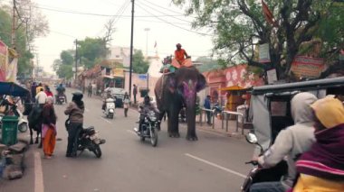Ujjain, Hindistan - Aralık, 2017 yaklaşık: Kutsal fil Ujjain, Hindistan'da kentsel Street yürüyüş.