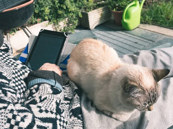 Woman reading ebook with domestic cat lying on legs, outdoors, toned, close up body parts — Stock Photo, Image