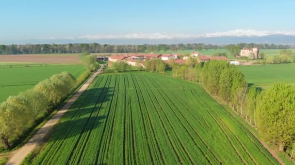 Flug Über Bewirtschaftete Felder Ackerland Landschaft Landwirtschaftliche Tätigkeit Von Oben — Stockvideo