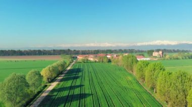 Ekili alanları tarım arazileri kırsal üzerinde uçan, tarım meslek, yemyeşil yeşil tahıl görünümünü üst bitkileri, Piedmont, İtalya, karlı Alp arka planda sprintime